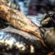 Tattoo Numbing Creams: Are They Worth It?